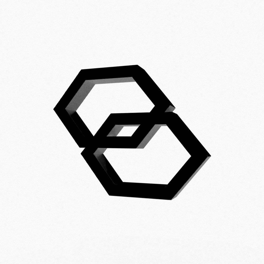 Logo of the organization