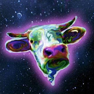 Logo of the organization