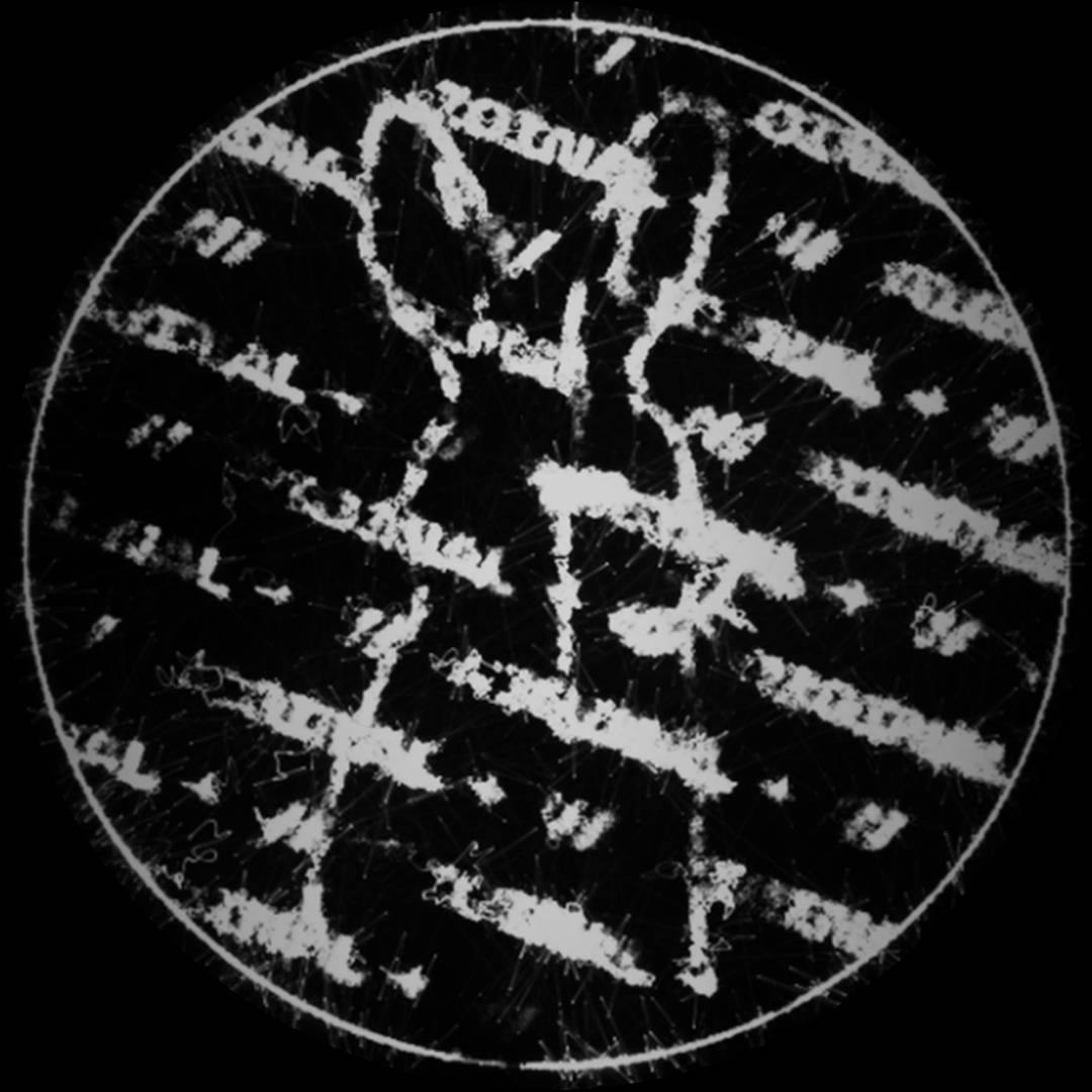 Reoccurring Rabbit avatar