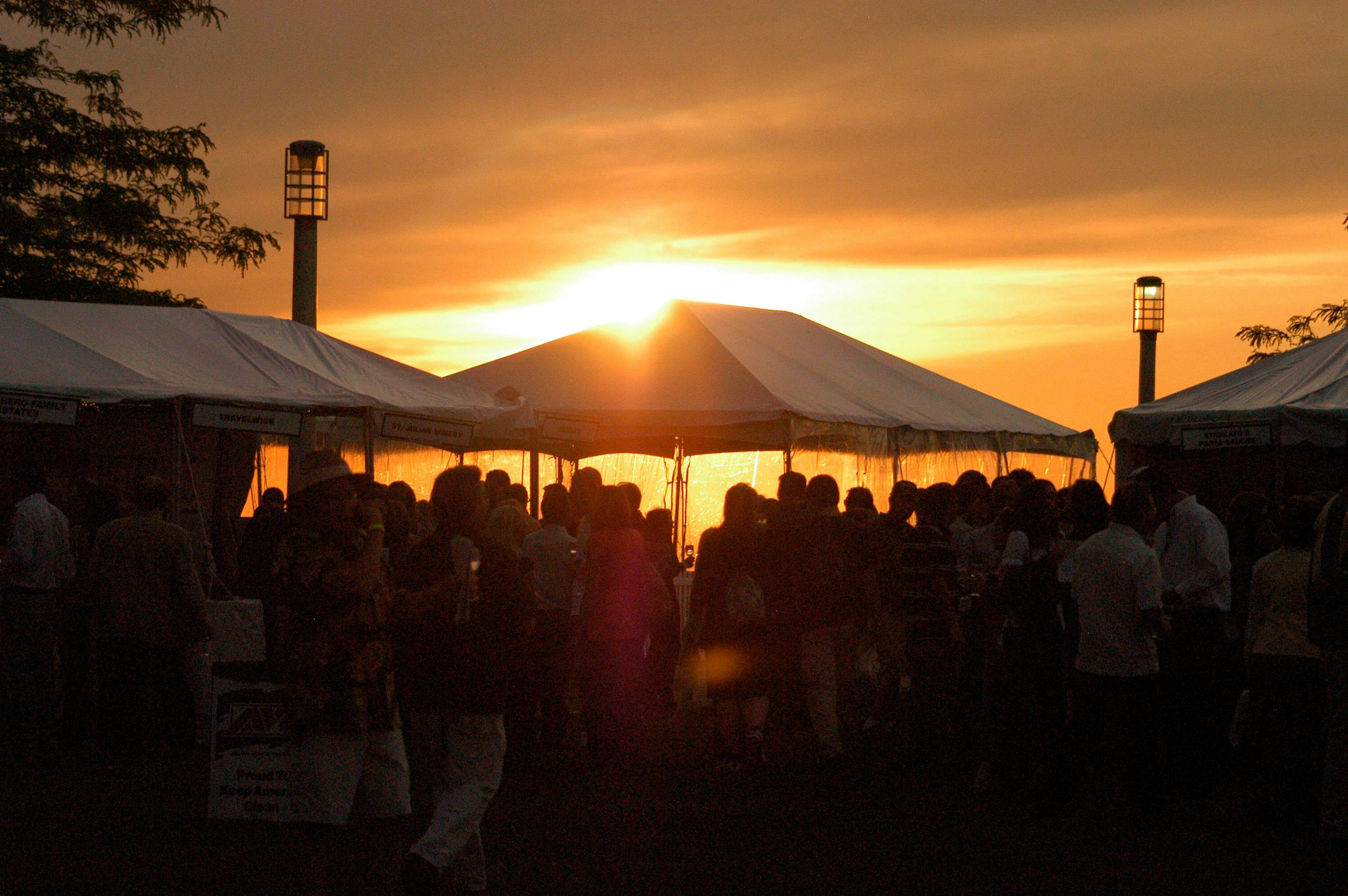 Event Organizer banner