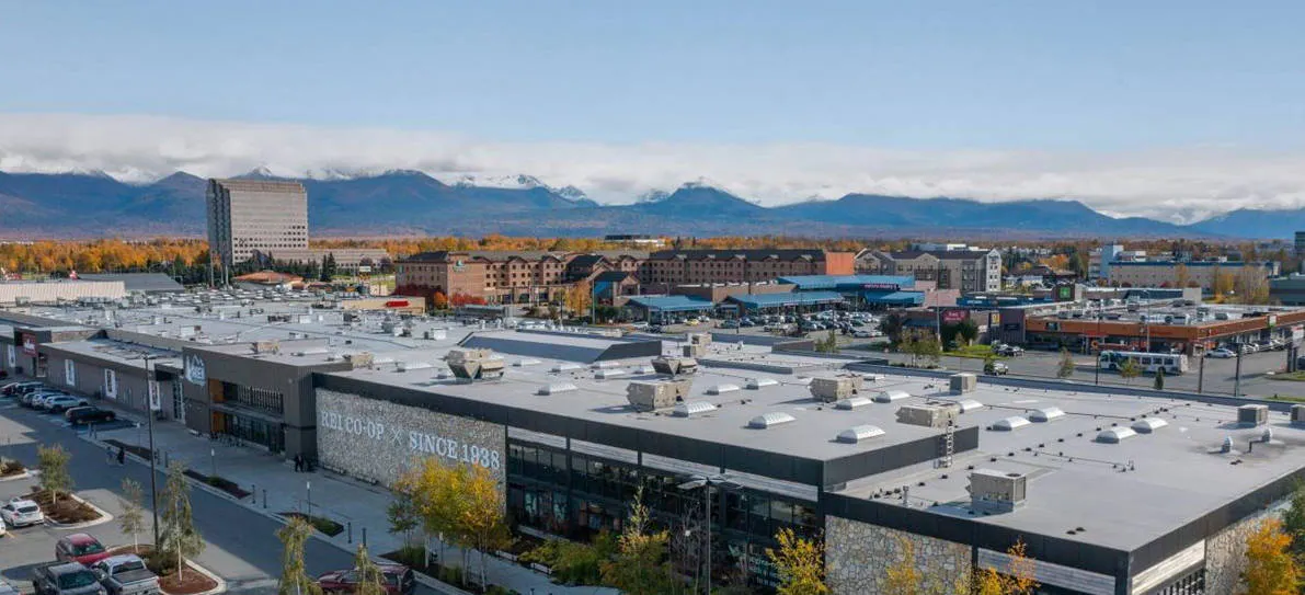 Event Organizer banner