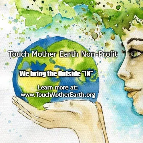 Event Organizer banner