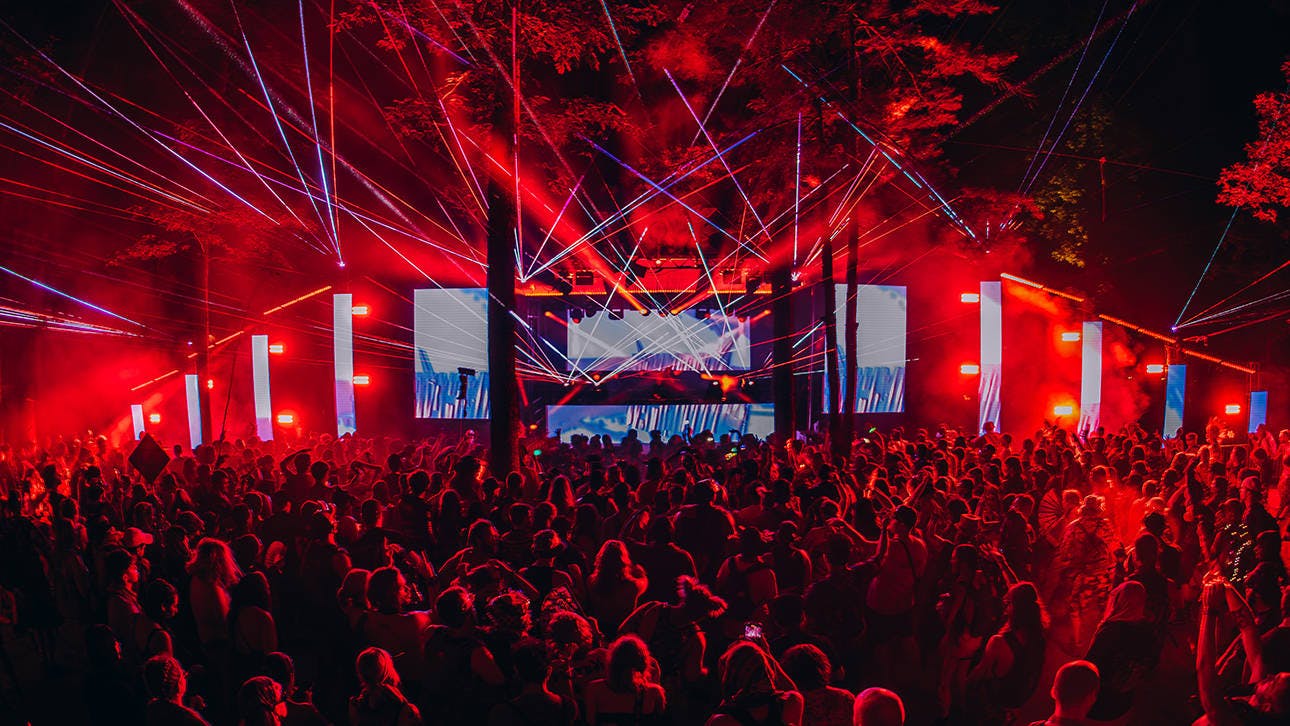 Big Dub Festival 2026 event banner