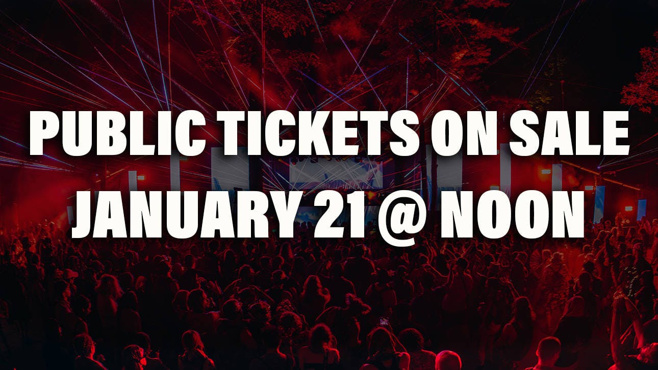 Big Dub Festival 2026 event banner