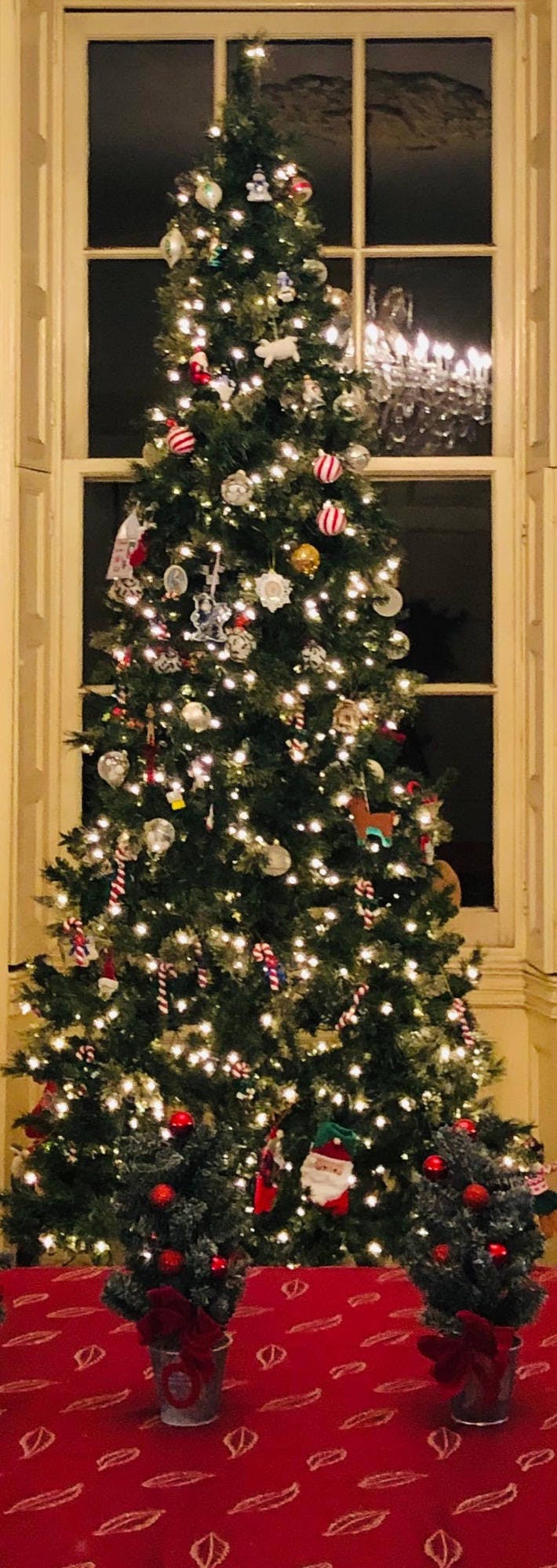 ACHS Annual Christmas Party - 2025 event banner