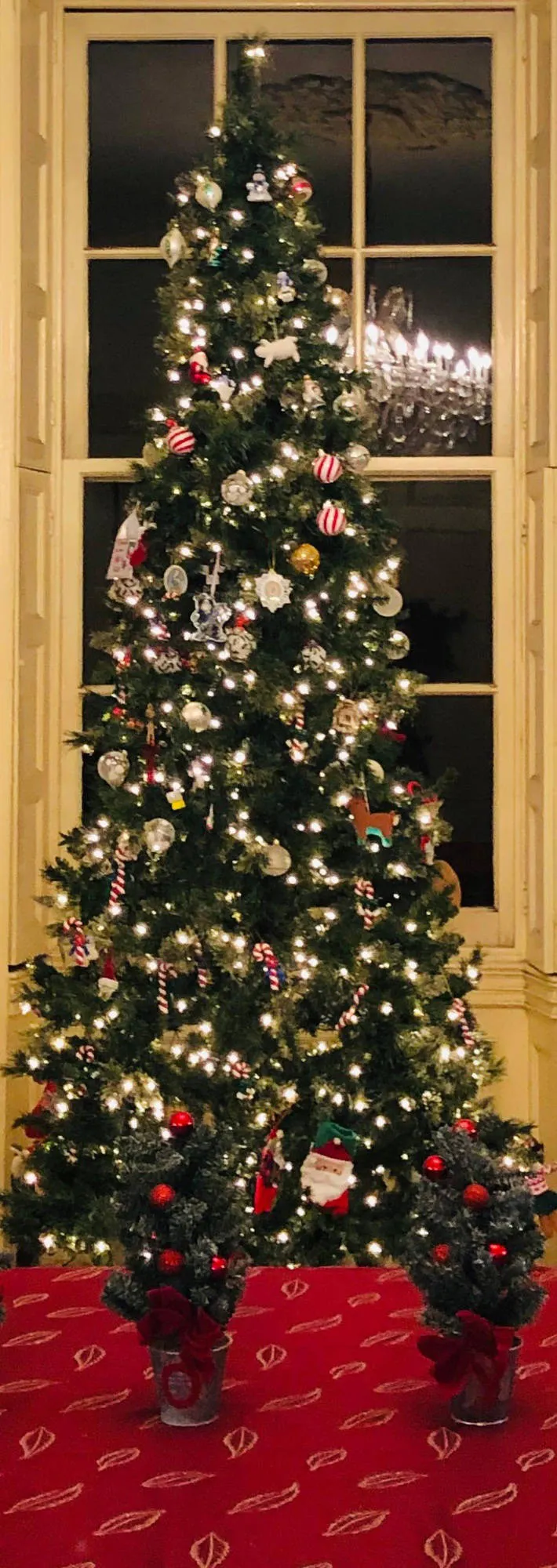 ACHS Annual Christmas Party - 2025 event banner