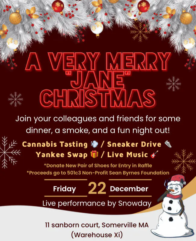 Very Merry Jane Christmas event banner