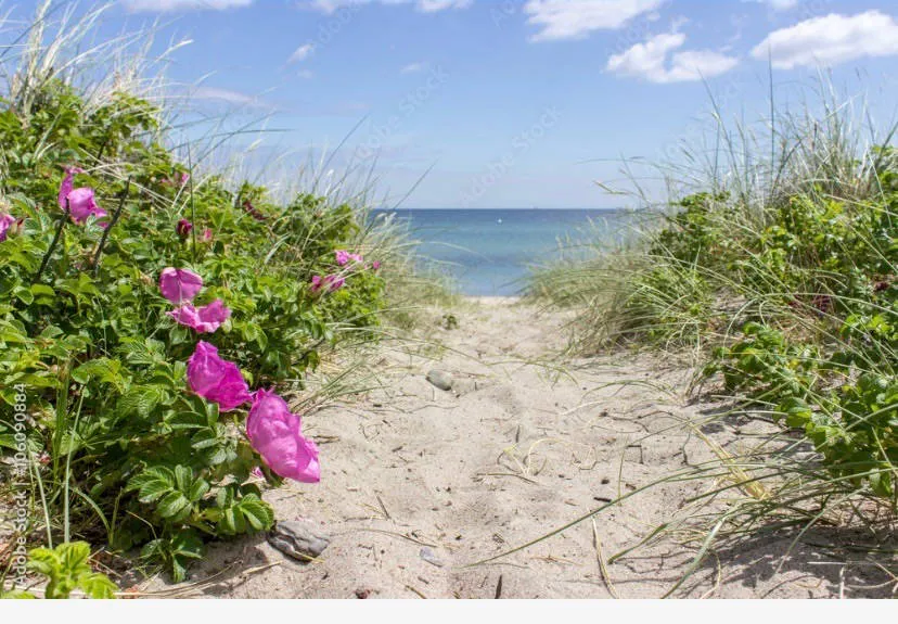 The Fade-Away Advantage by Meryl Cohn - Sunday Matinee performance event banner