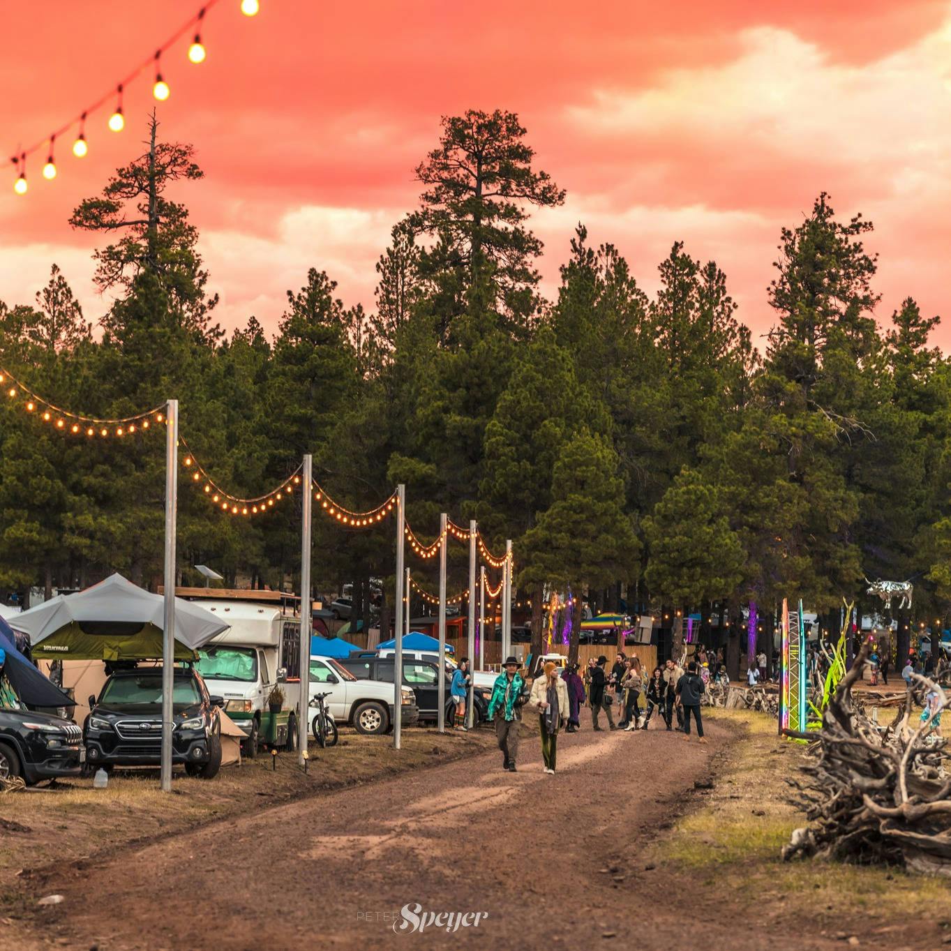 Volunteer Event - June Jam 2024 event banner