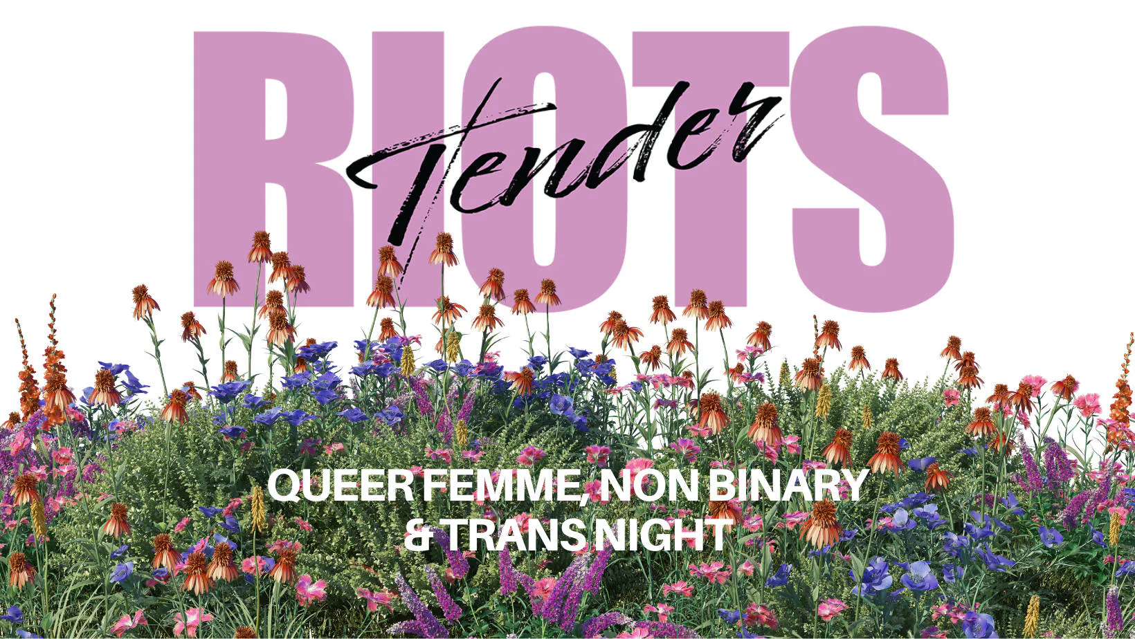 Tender Riots event banner