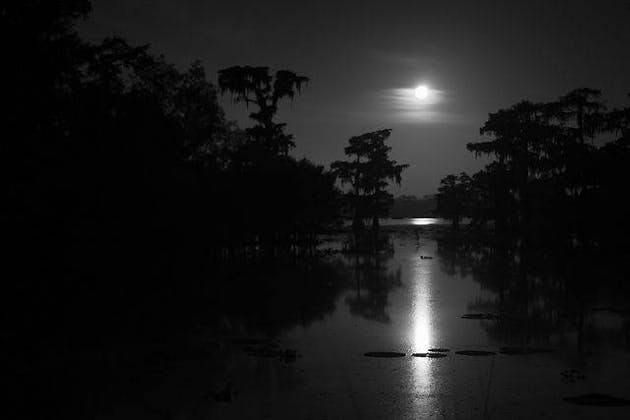 Black Water:  Celebrating The Music of The Doobie Brothers event banner