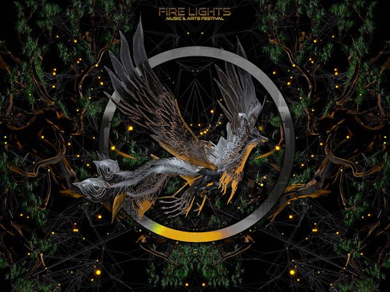 Fire Lights Festival event banner